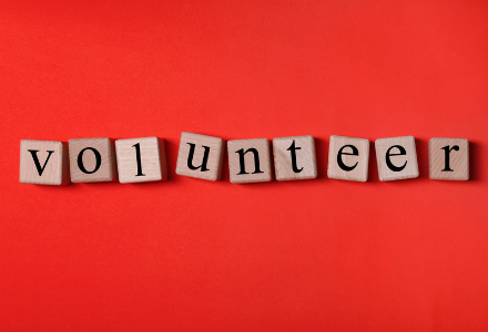 Hammersley Homes: Could You Be Our Next Treasurer?