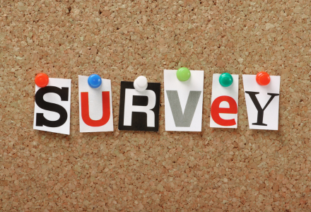 Have you received support from the Mental Health Liaison Team? Tell us what you think